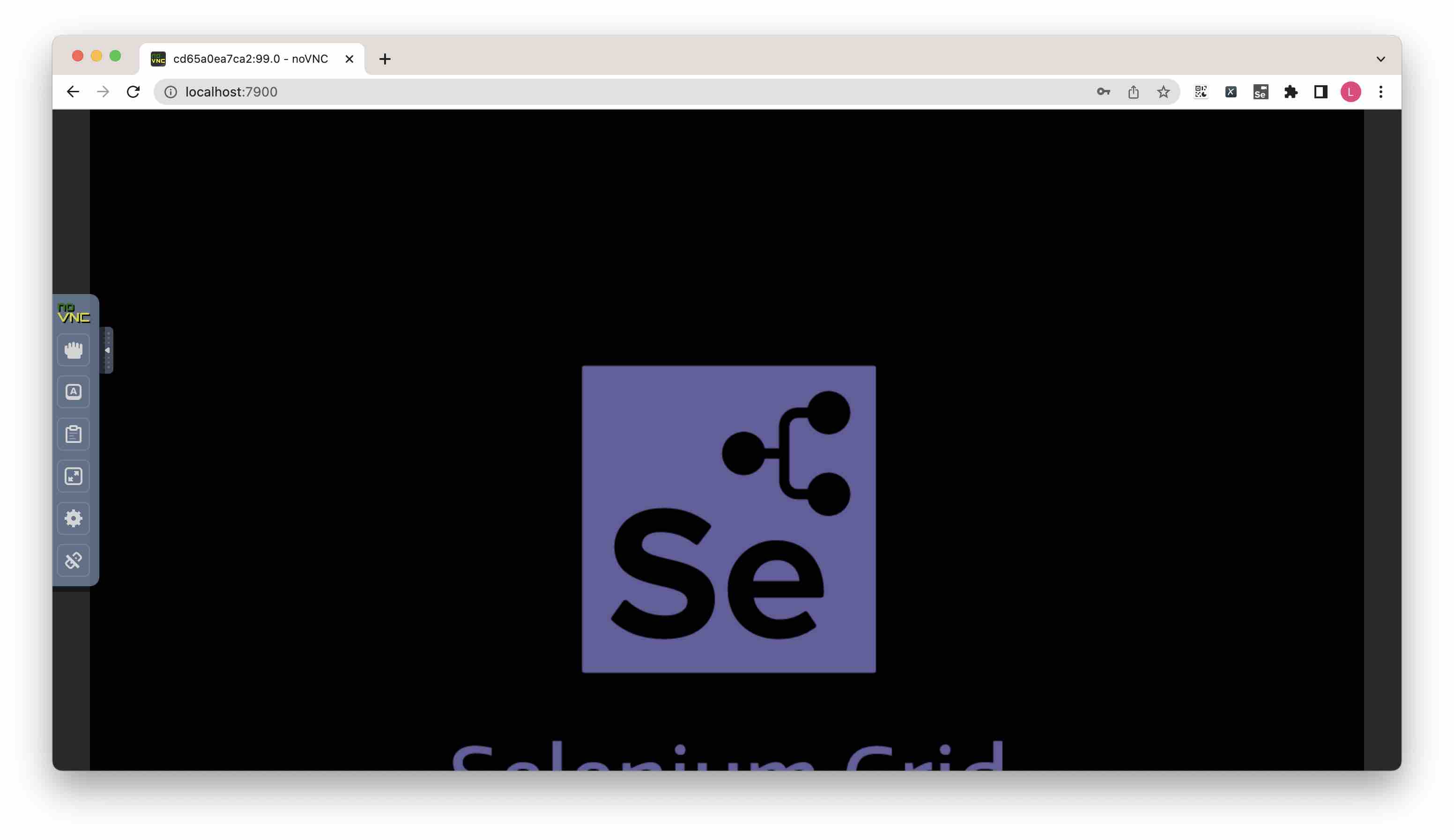 Selenium Grid 运行桌面