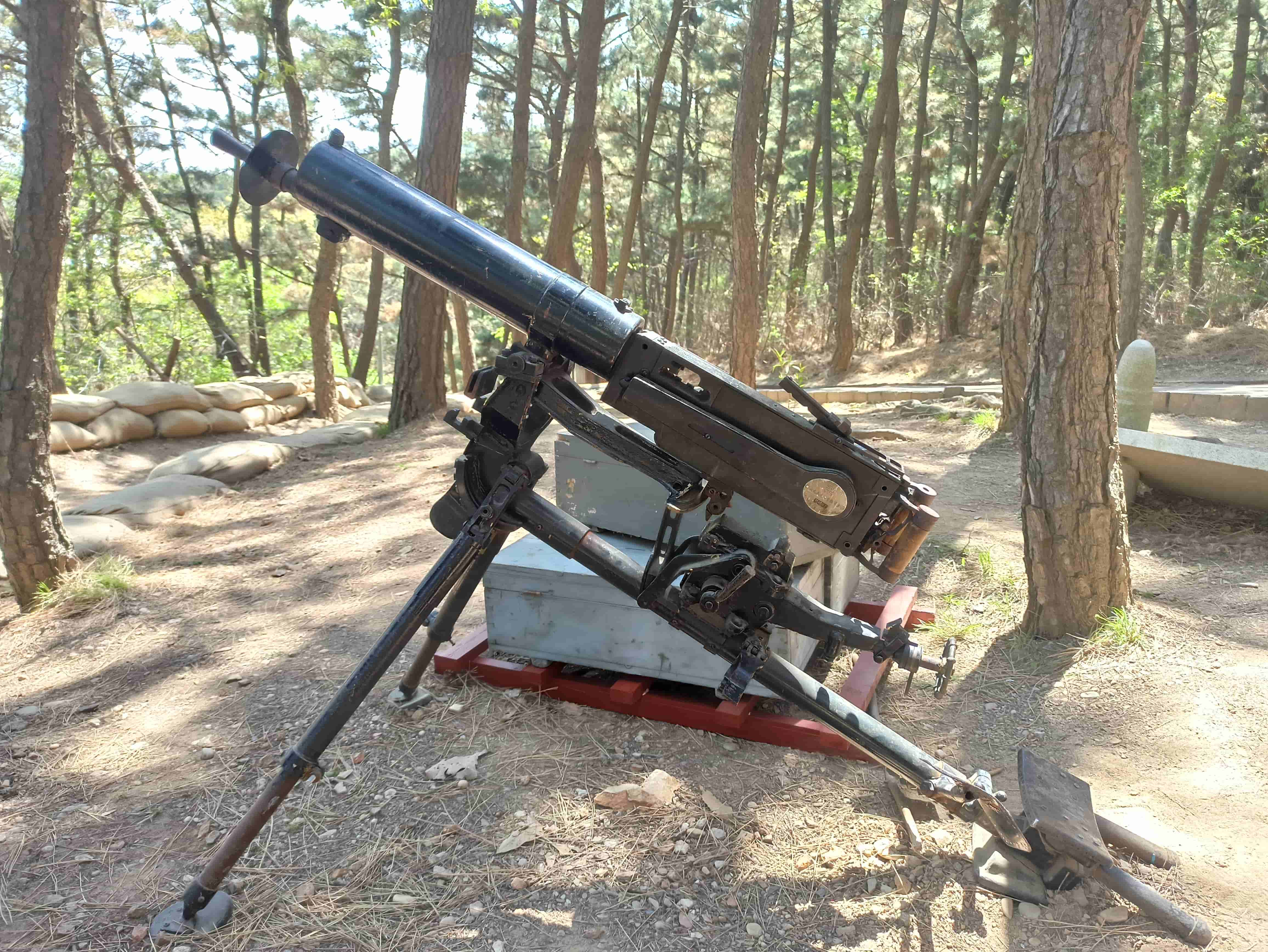 東雞冠山 - 俄軍機槍