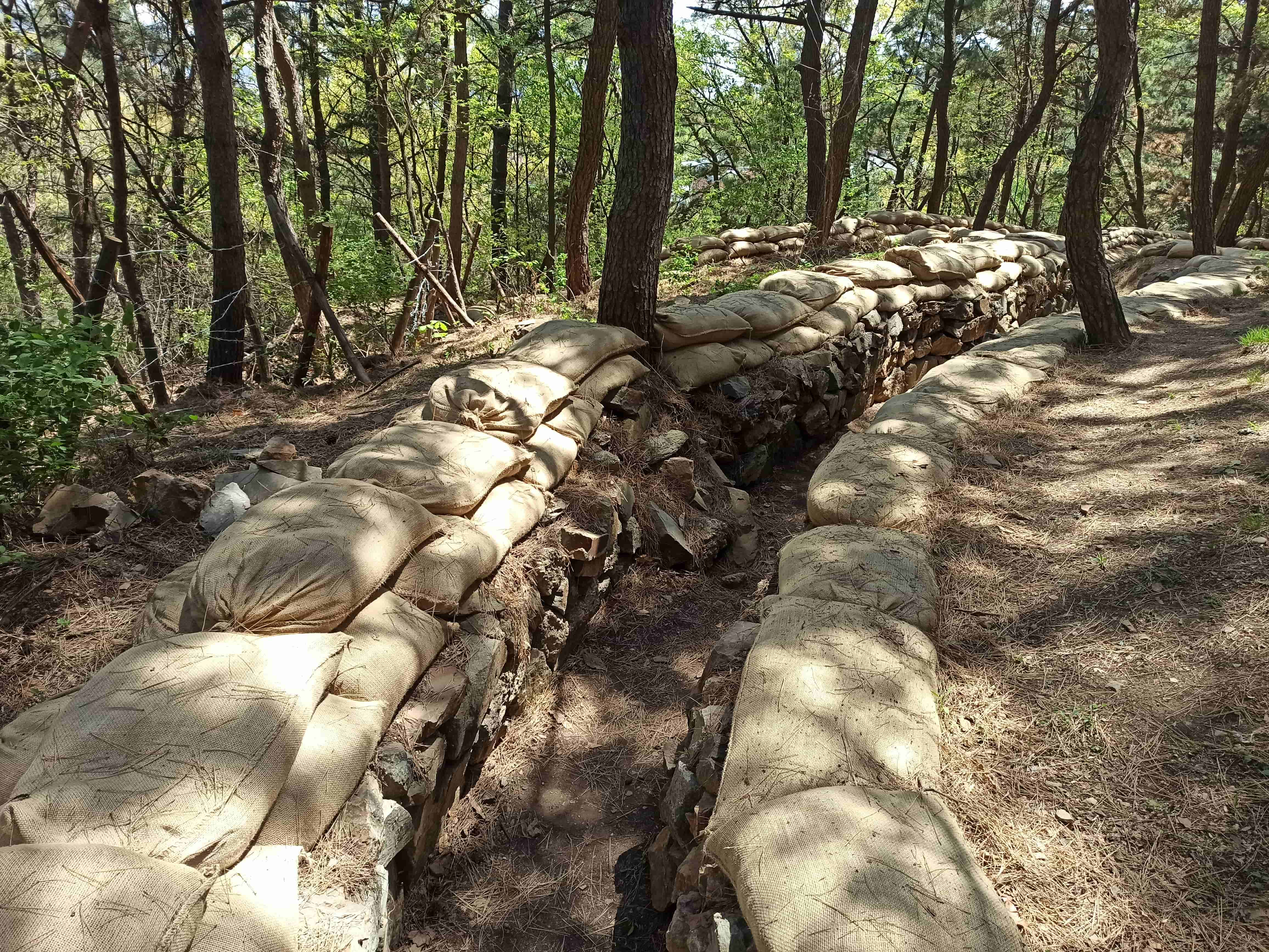 東雞冠山 - 俄軍戰壕