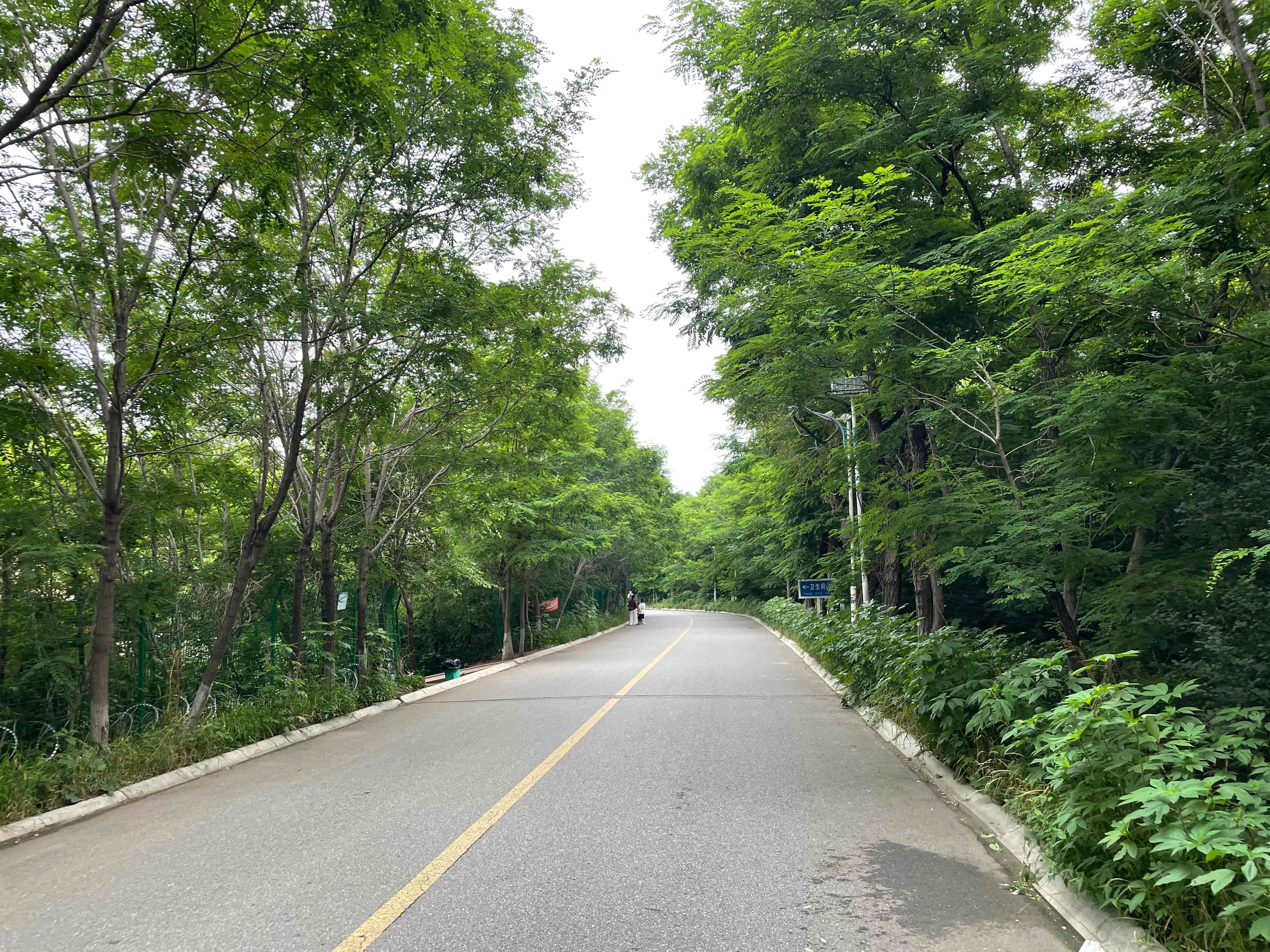 遼寧團山海洋公園